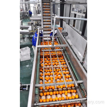 Ligne de production de traitement de jus de coco orange de raisin frais